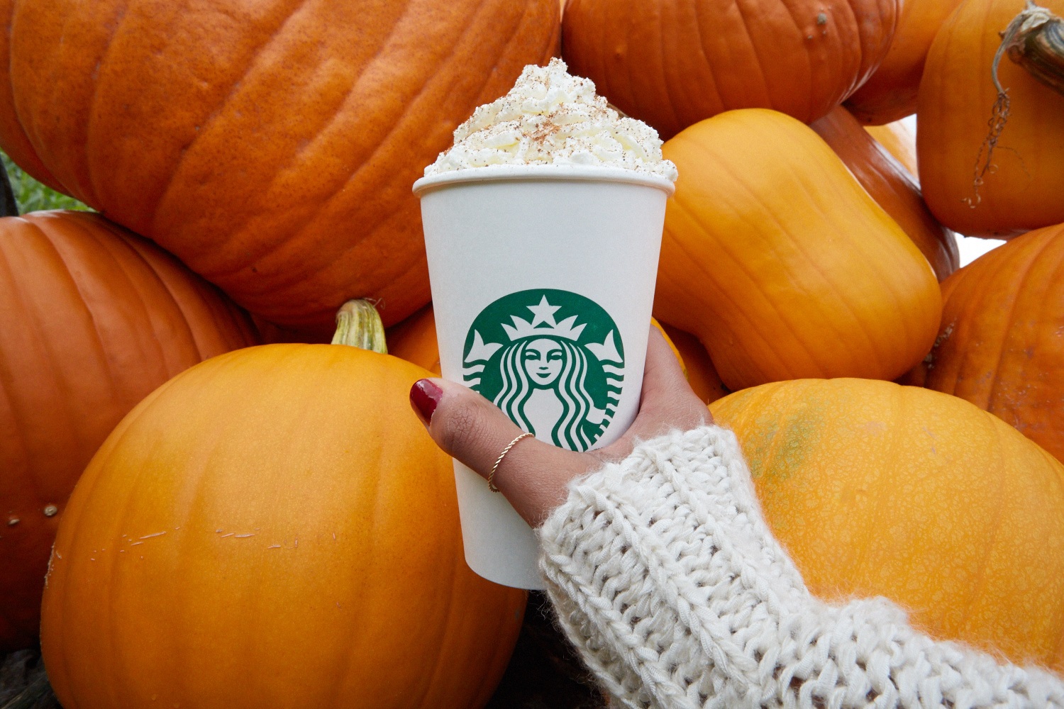 VISSZATÉR A SÜTŐTÖKLÁZ A STARBUCKSBA